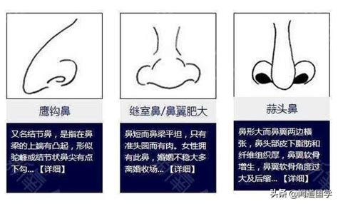 白色鼻毛面相|探究面相学中鼻子毛发颜色的神秘意义